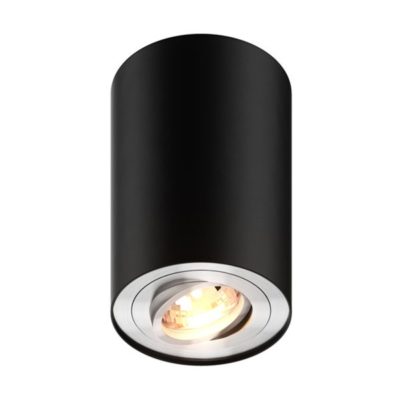 Nowoczesna oprawa oczko halogen LAMPA WEWNĘTRZNA (SPOT) ZUMA LINE RONDOO SPOT 45519 (WHITE)